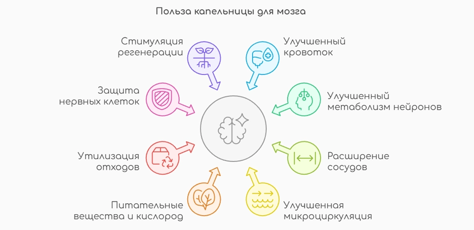 Польза капельницы для мозга (инфографика)